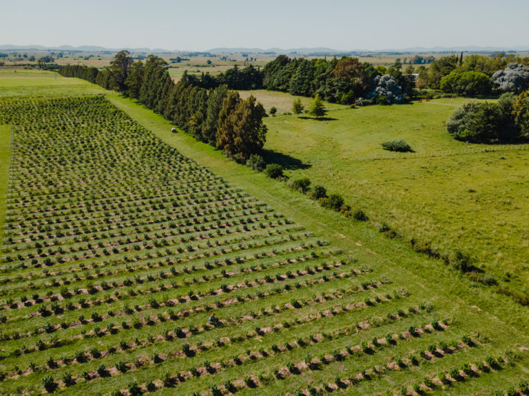 DJI_0038