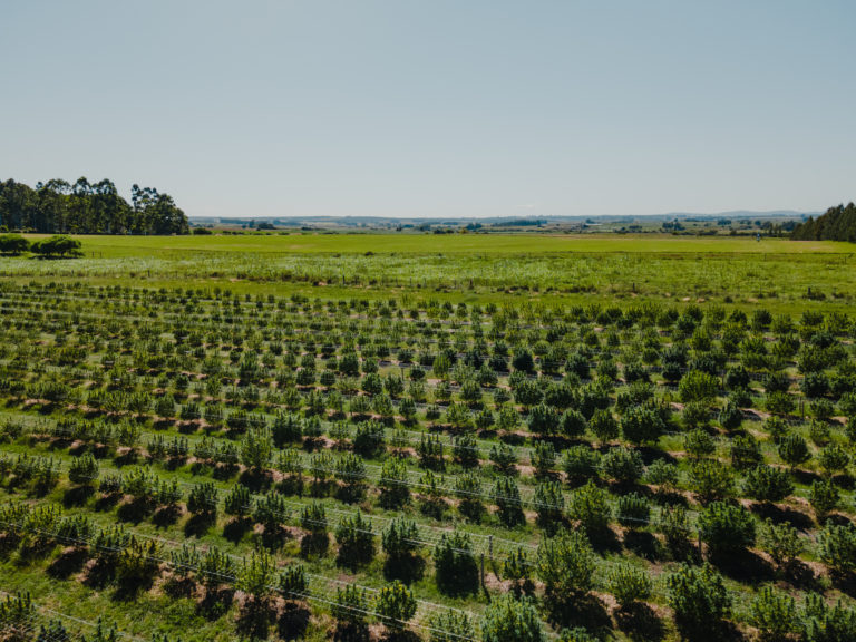 DJI_0055